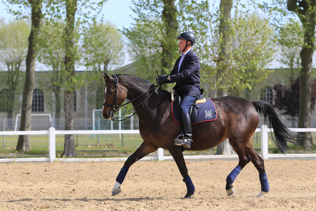 Mastering the Art of Horse Riding: 10 Essential Tips for Beginners