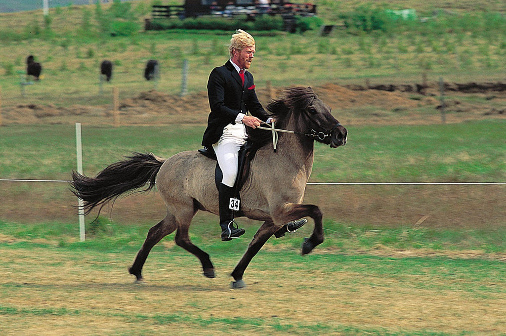 How To Use Horse Reins, Martingales & Breastplates