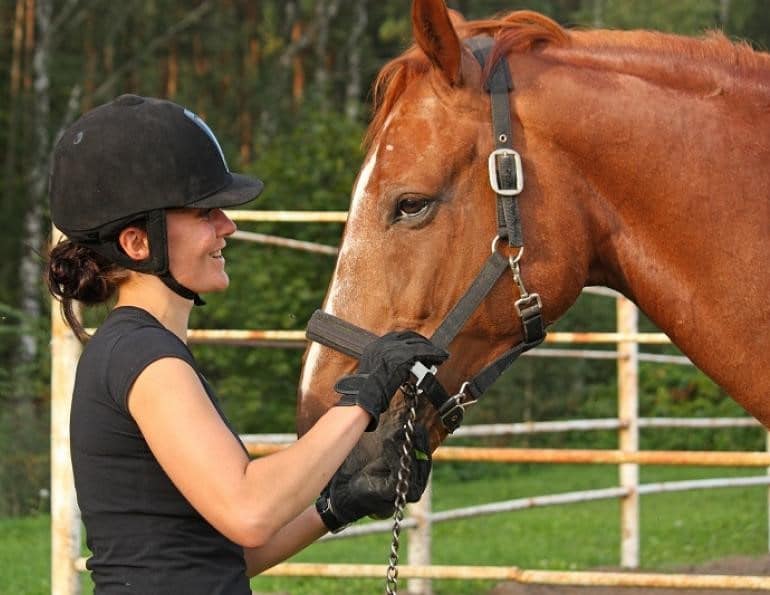 Importance Of Wearing Equestrian Helmets