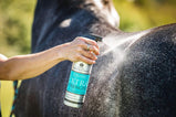 FLYGARD EXTRA STRENGTH INSECT REPELLENT DEET - Carr & Day & Martin