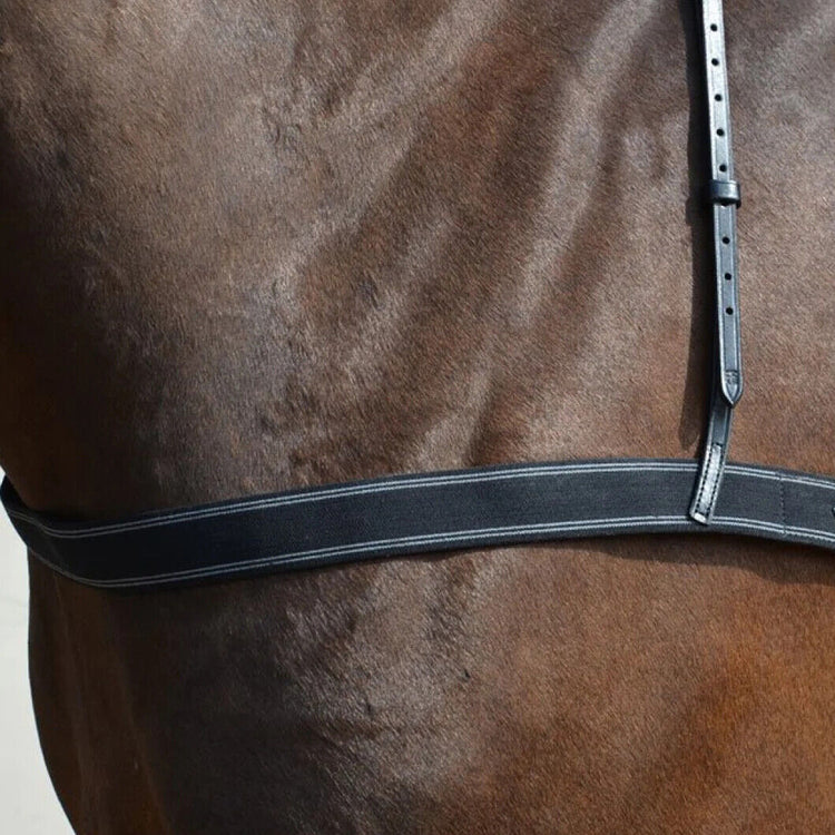 Elastic Breast Girth (breastcollar) Leather with Neck for Horses