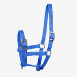 Foal Halter