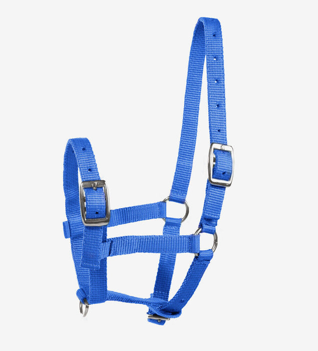 Foal Halter