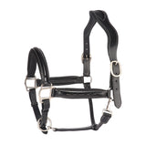 Halter scaled