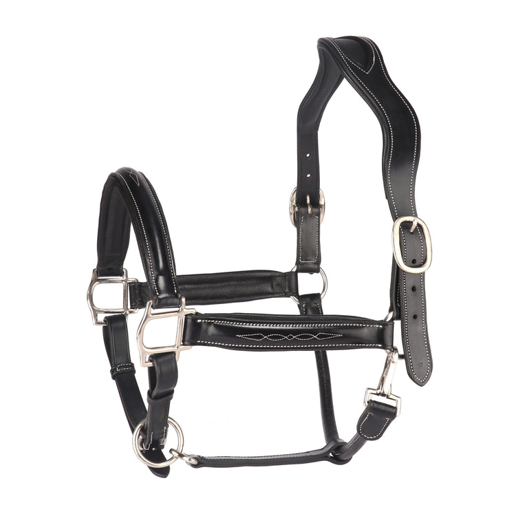 Halter scaled