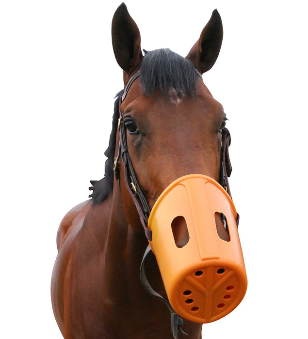 Plastic box Muzzle