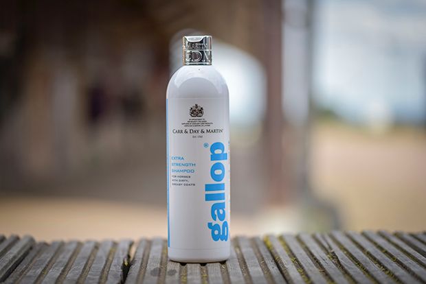Carr & Day & Martin Gallop Extra Strength Shampoo