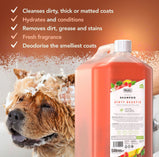 Wahl Dirty Beastie Shampoo 500ml & 5L