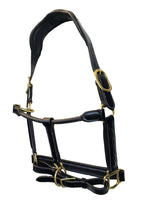 Anatomical Halter Fancy Hand Stitched Head Piece Italian Leather Black Brown