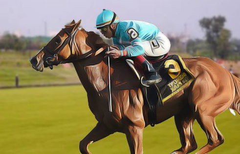 Know Everything About Horse Bridle