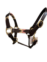 Polo Head Collar Leather – Heritage Styling, Ultimate Control