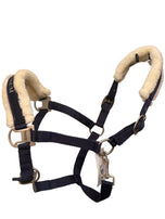 Nylon Padded Horse Head Collar – Gentle on Skin, Built to Last