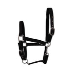 Nylon Head Collar – Adjustable, Colourful, Incredible Value