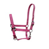 Nylon Head Collar – Adjustable, Colourful, Incredible Value