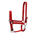 Nylon Head Collar – Adjustable, Colourful, Incredible Value