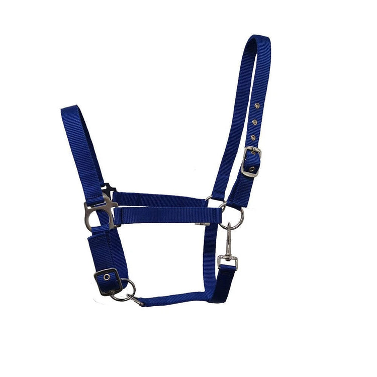 Nylon Head Collar – Adjustable, Colourful, Incredible Value