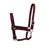 Nylon Head Collar – Adjustable, Colourful, Incredible Value