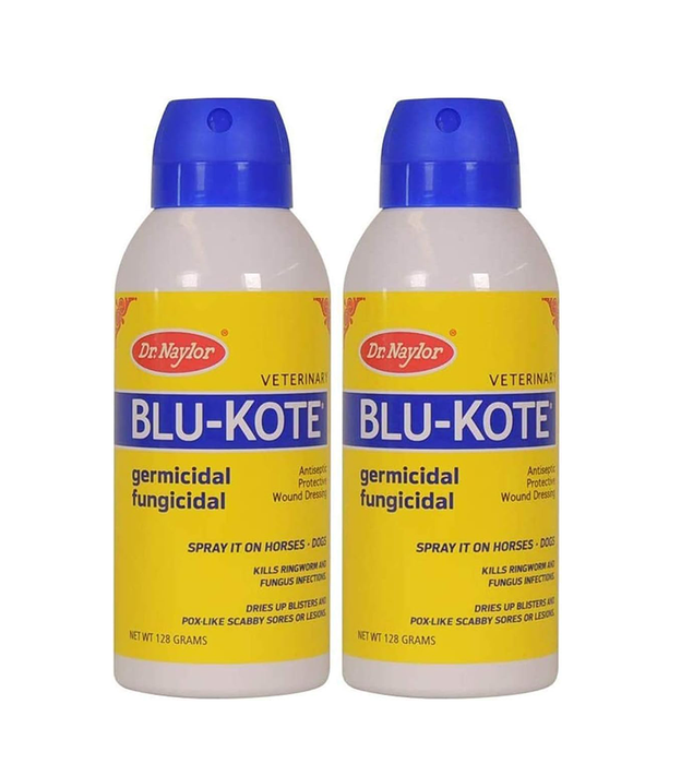 Dr. Naylor Blu-Kote Aerosol (128 Gram) - Fast Drying Antiseptic Wound Dressing Pack of 2