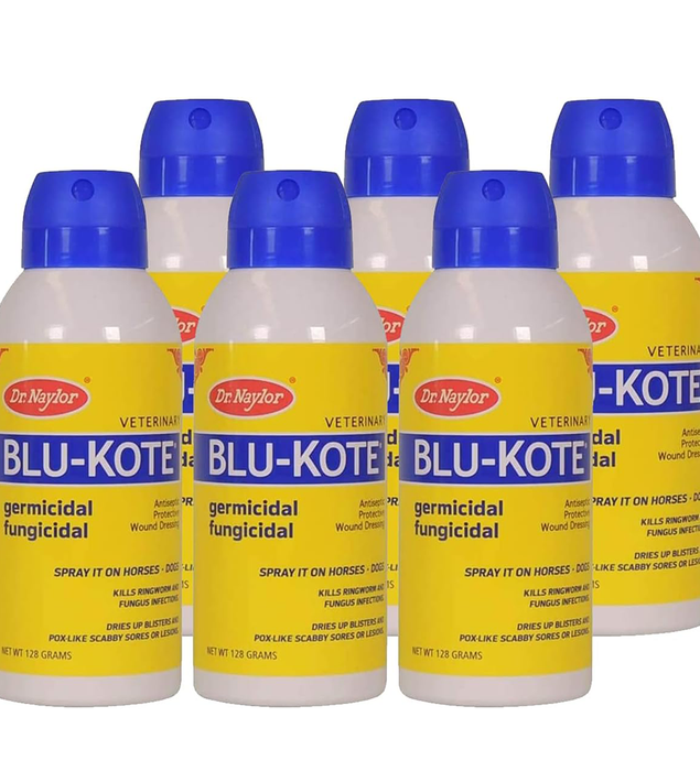 Dr. Naylor Blu-Kote Aerosol (128 Gram) - Fast Drying Antiseptic Wound Dressing Pack of 6