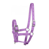 Foal Halter