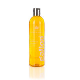 Carr & Day & Martin Colour Enhancing Shampoo