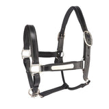 Anatomical Leather Head Collar /Halter With Removal Name Plate Brown Black for horse - 4123