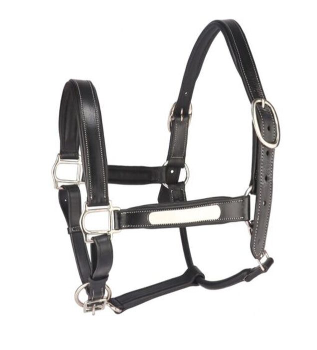 Anatomical Leather Head Collar /Halter With Removal Name Plate Brown Black for horse - 4123