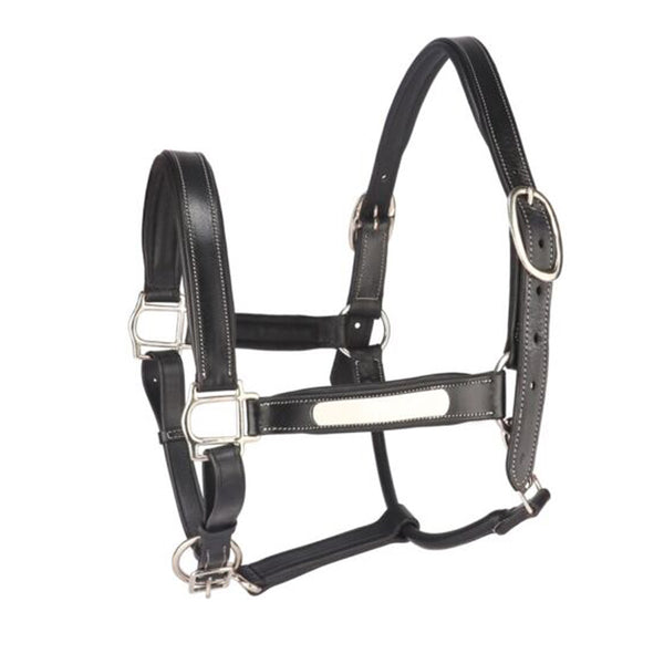 Anatomical Leather Head Collar /Halter With Removal Name Plate Brown B ...