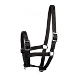 Foal Halter
