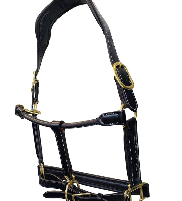 Italian Leather Fancy Stitched Halter
