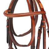 Grackle Noseband Bridle With Reins Premium Leathe