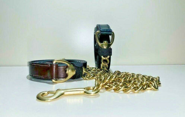 English Sedgwick Leather Show Lead Rein With Brass Chain & Loop Handle