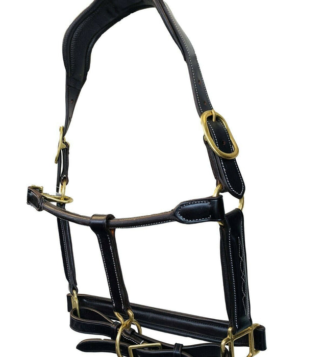 Anatomical Halter Fancy Hand Stitched Head Piece Italian Leather Black Brown